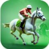 赛马竞争对手游戏（Racehorse Ri