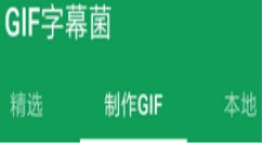 gif字幕菌使用的详细介绍