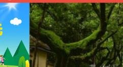 我的南京app绑定驾照的具体操作步骤