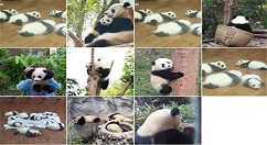 在iphone8中批量删除照片的具体步骤