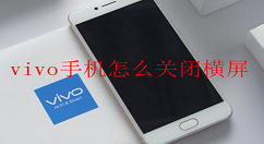 在vivo手机中关闭横屏的图文教程
