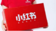 在小红书APP中解绑手机号的详细方法