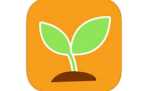 亲宝宝APP上传照片的操作过程