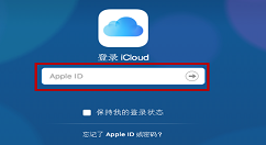 在iphone8中批量删除联系人的具体方法