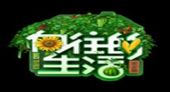 向往的生活中数马游戏的规则讲解