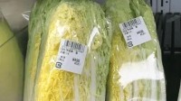 日本一颗白菜近100元人民币 日元汇率刷新34年来新低