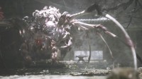 玩家热议《黑神话》蜘蛛精关卡：怕蜘蛛的有"福"了