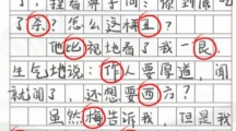 《汉字找茬王》作文12个错别字怎么过