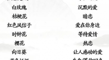 《汉字找茬王》连线花语怎么过