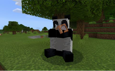 《我的世界》学会两条指令 帮助小伙伴克服恐惧 一招退散黑暗