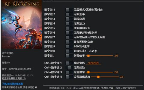 阿玛拉王国惩罚重制版修改器风灵月影版
