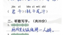 《汉字找茬王》小学生试卷2怎么过