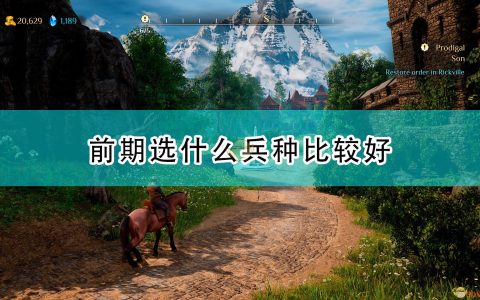 《国王的恩赐2》前期兵种选择推荐