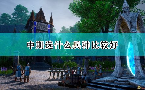 《国王的恩赐2》中期兵种选择及阵容搭配推荐