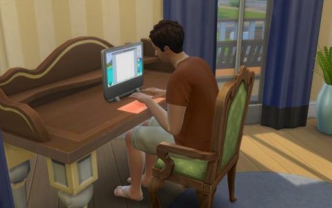 最“硬核”的《模拟人生》玩家：遇到真爱，繁衍后代