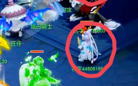 梦幻西游：普陀山的输出数据不科学，没开莲花群秒达到了1万多