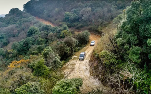 使命召唤2攻略（丛林穿越技巧）