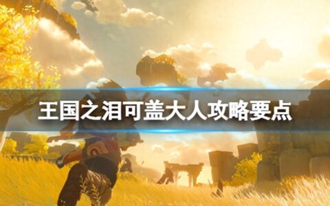 《塞尔达传说王国之泪》可盖大人怎么打？可盖大人攻略要点