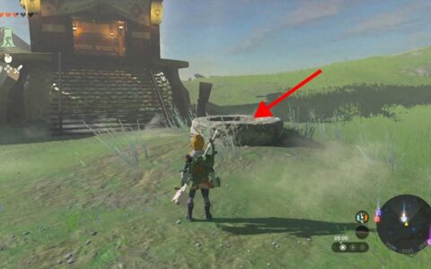 塞尔达传说之王国之泪神庙攻略-泡泡拉高地鸟望台