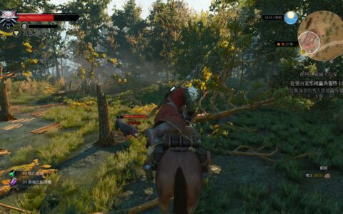 《巫师3：狂猎》你不知道的小贴士们