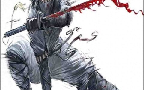 《影子战术将军之刃》图文攻略 全关卡图文流程攻略