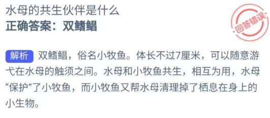 《支付宝》神奇海洋科普8月28日答案2023