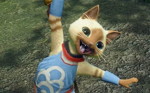 「怪猎 进阶攻略」猎人必看的花链、护石、饰品详解