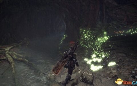 怪物猎人世界烂辉龙新手向攻略