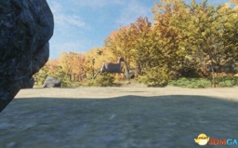 猎人荒野的呼唤新手入门指南