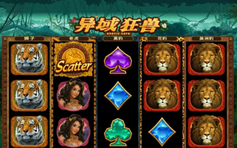 干货！电子游戏玩法技巧攻略分享