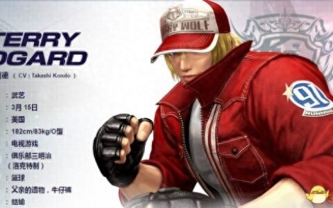 拳皇14特瑞连招分析 特瑞连招打法心得分享