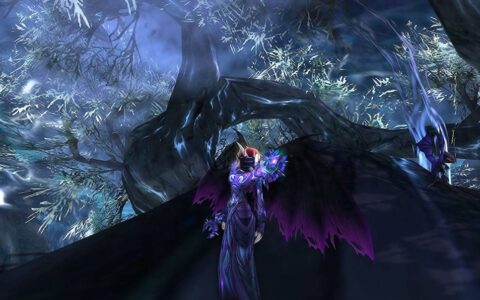 魔兽世界怀旧服攻略：RAID中对术士的理解与要求