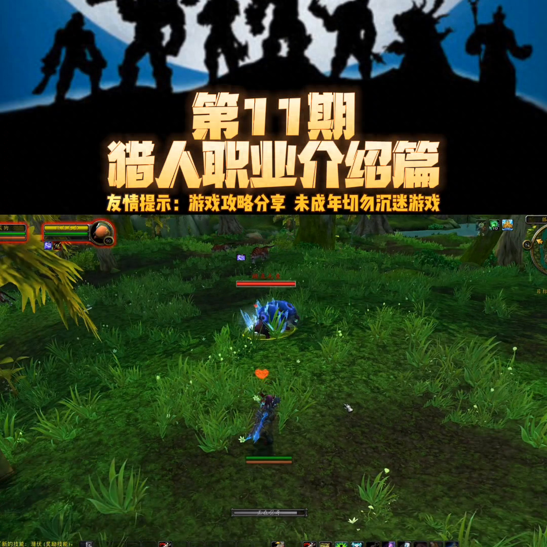 全网最详细的魔兽世界攻略解说全集。