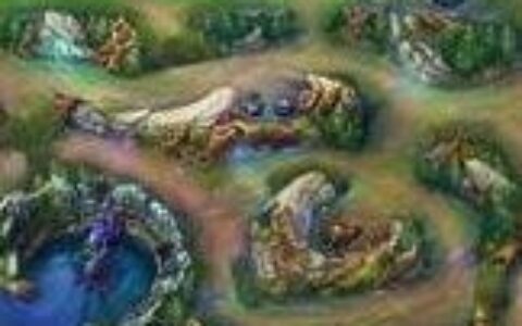 LOL英雄联盟：狮子野区干货篇 喜欢LOL的朋友千万不要错过！